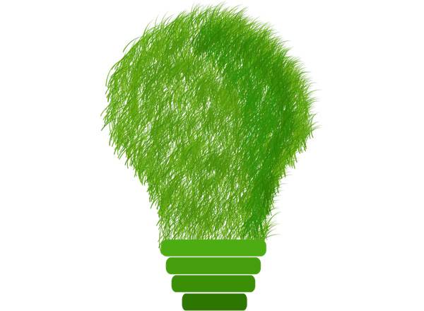 Foco ecológico (Consejos para ahorrar energía eléctrica en casa)