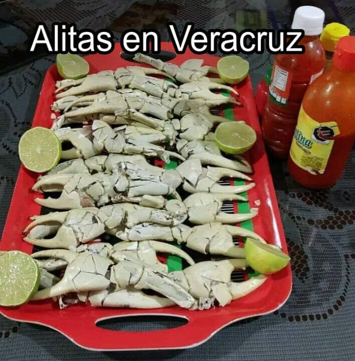 Tenazas en charola con limones y salsas meme Veracruz