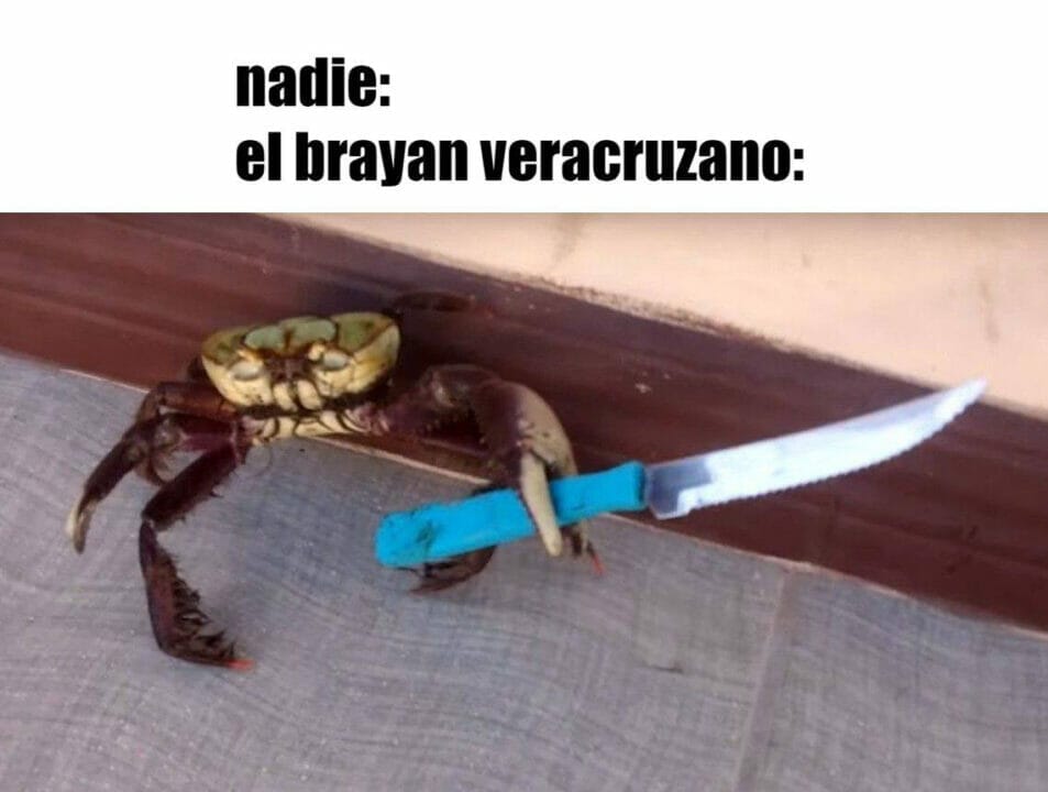 Cangrejo con cuchillo Brayan veracruzano