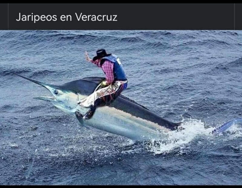 Vaquero montando un pez espada en Veracruz